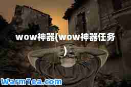 wow器(wow器任务)
