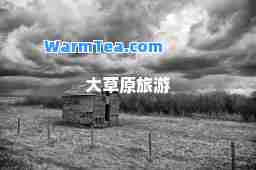 大草原旅游