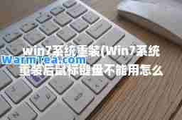 win7系统重装(Win7系统重装后鼠标键盘不能用怎么办)
