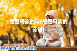感恩母亲的诗(感恩母亲的诗句)