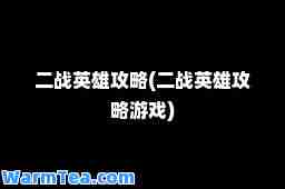 二战英雄攻略(二战英雄攻略游戏)