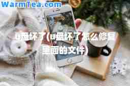 u盘坏了(u盘坏了怎么修复里面的文件)