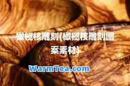 橄榄核雕刻(橄榄核雕刻图案素材)