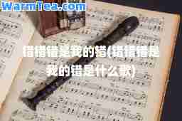 错错错是我的错(错错错是我的错是什么歌)