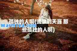 孤独的人啊(流浪到天涯 那些孤独的人啊)