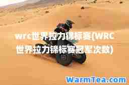 wrc世界拉力锦标赛(WRC世界拉力锦标赛冠军次数)