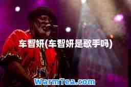 车智妍(车智妍是歌手吗)