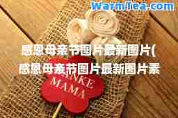 感恩母亲节图片图片(感恩母亲节图片图片素材)