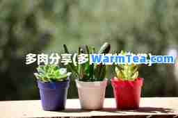 多肉分享(多肉植物欣赏)
