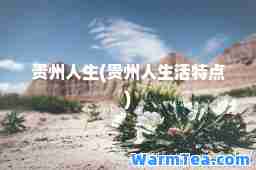 贵州人生(贵州人生活特点)