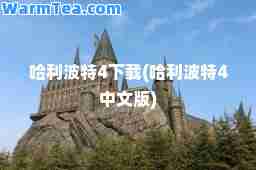 哈利波特4下载(哈利波特4中文版)