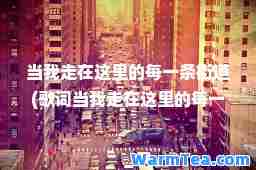 当我走在这里的每一条街道(歌词当我走在这里的每一条街道)