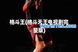 格斗王(格斗天王电视剧完整版)