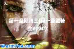 圣殿骑士(圣殿骑士ep20)