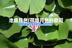 池塘月色(荷塘月色的歌词)