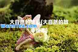 大自然的故事(大自然的故事绘本)