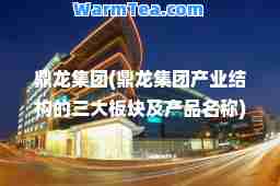 鼎龙集团(鼎龙集团产业结构的三大板块及产品名称)