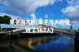 果子沟大桥(果子沟大桥牺牲了163人)
