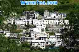 丁屋岭(丁屋岭拍过什么电视剧)