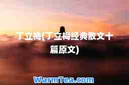 丁立梅(丁立梅经典散文十篇原文)