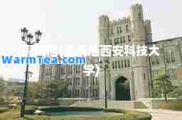 高晓旭(高晓旭西安科技大学)