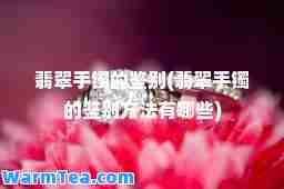翡翠手镯的鉴别(翡翠手镯的鉴别方法有哪些)