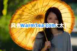 风先生(风先生和雨太太)