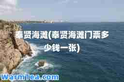 奉贤海滩(奉贤海滩门票多少钱一张)