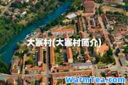 大寨村(大寨村简介)