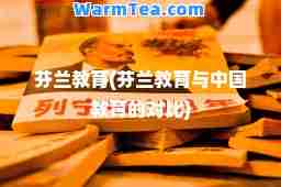 芬兰教育(芬兰教育与中国教育的对比)
