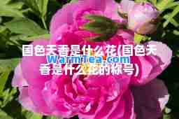 国色天香是什么花(国色天香是什么花的称号)