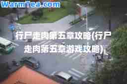 行尸走肉第五章攻略(行尸走肉第五章游戏攻略)