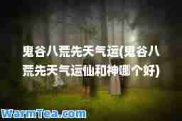 鬼谷八荒先天气运(鬼谷八荒先天气运仙和哪个好)
