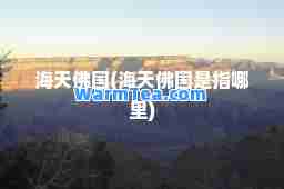 海天佛国(海天佛国是指哪里)