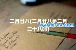 二月廿八(二月廿八是二月二十八吗)