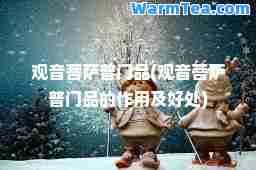 观音菩萨普门品(观音菩萨普门品的作用及好处)