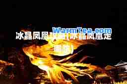 冰晶凤凰攻略(冰晶凤凰走哪路)