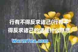 行有不得反求诸己(行有不得反求诸己的诸是什么意思)