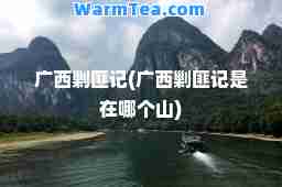 广西剿匪记(广西剿匪记是在哪个山)