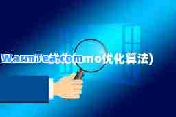 o优化(o优化算法)