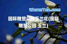 雕塑公园玉兰花(雕塑公园 玉兰)