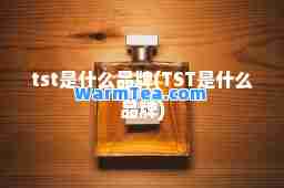 tst是什么品牌(TST是什么品牌)
