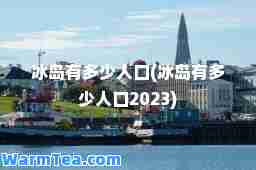 冰岛有多少人口(冰岛有多少人口2023)