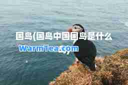 国鸟(国鸟中国国鸟是什么鸟)
