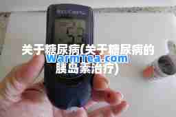 关于糖尿病(关于糖尿病的胰岛素治疗)