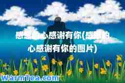 感恩的心感谢有你(感恩的心感谢有你的图片)