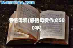 感悟母爱(感悟母爱作文500字)