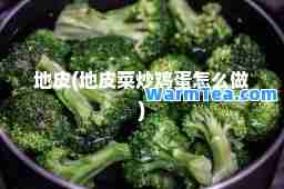 地皮(地皮菜炒鸡蛋怎么做)