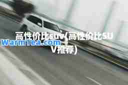 高性价比suv(高性价比SUV)