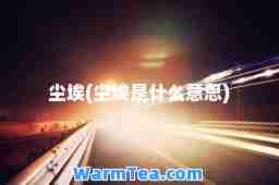 尘埃(尘埃是什么意思)
